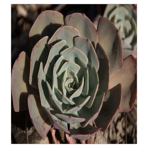 Succulent Green Pink Rosettes Drawstring Pouches (XXL) from ArtsNow.com Front