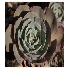 Succulent Green Pink Rosettes Drawstring Pouches (XXL) from ArtsNow.com Back