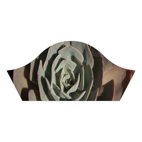 Succulent Green Pink Rosettes Cotton Crop Top from ArtsNow.com Left Sleeve
