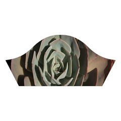 Succulent Green Pink Rosettes Cotton Crop Top from ArtsNow.com Right Sleeve