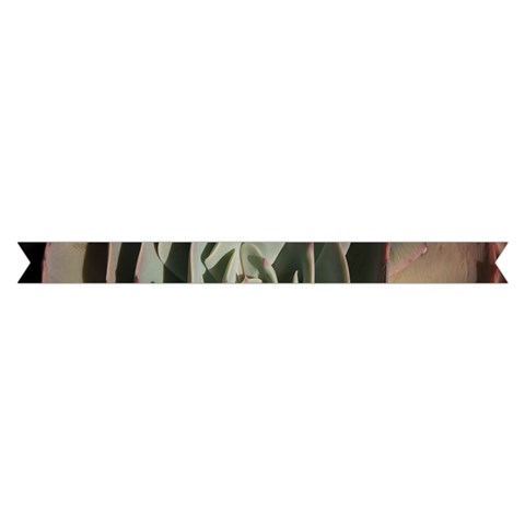 Succulent Green Pink Rosettes Short Sleeve V Hem