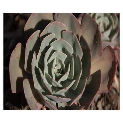 Succulent Green Pink Rosettes Zipper Medium Tote Bag from ArtsNow.com Front