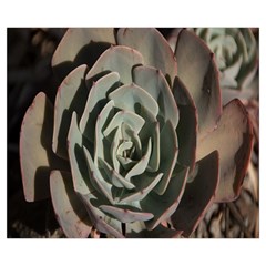 Succulent Green Pink Rosettes Zipper Medium Tote Bag from ArtsNow.com Back