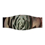 Succulent Green Pink Rosettes Stretchable Headband