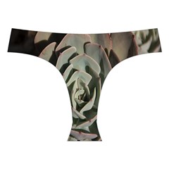 Succulent Green Pink Rosettes Cross Back Hipster Bikini Set from ArtsNow.com Front Under