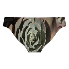 Succulent Green Pink Rosettes Cross Back Hipster Bikini Set from ArtsNow.com Back Under