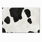 an_texture001 Postcard 4 x 6  (Pkg of 10)