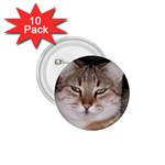 Cat 1.75  Button (10 pack) 