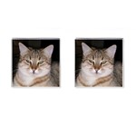 Cat Cufflinks (Square)