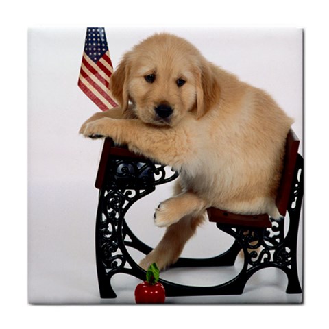 Labrador Puppy 1 Tile Coaster from ArtsNow.com Front