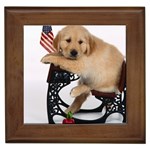 Labrador Puppy 1 Framed Tile