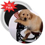 Labrador Puppy 1 3  Magnet (10 pack)