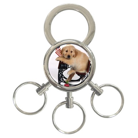 Labrador Puppy 1 3 Front
