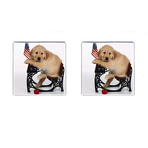 Labrador Puppy 1 Cufflinks (Square) from ArtsNow.com Front(Pair)