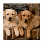 Labrador  Puppy 2 Tile Coaster