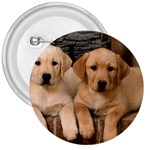 Labrador  Puppy 2 3  Button