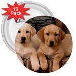 Labrador  Puppy 2 3  Button (10 pack)