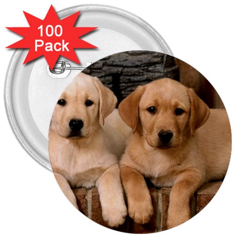 Labrador  Puppy 2 3  Button (100 pack) from ArtsNow.com Front