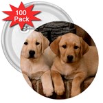 Labrador  Puppy 2 3  Button (100 pack)