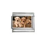 Labrador  Puppy 2 Italian Charm (9mm)