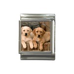 Labrador  Puppy 2 Italian Charm (13mm)