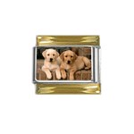Labrador  Puppy 2 Gold Trim Italian Charm (9mm)