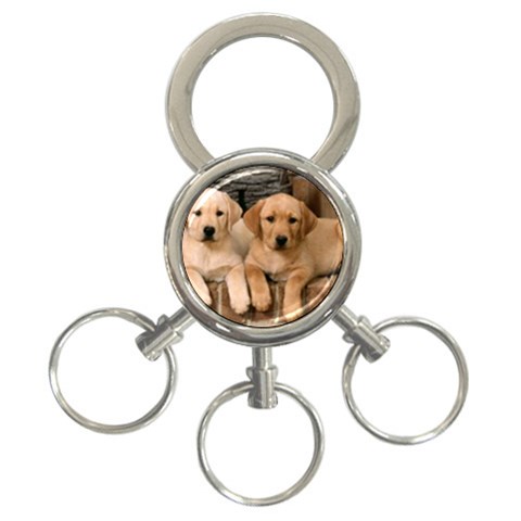 Labrador  Puppy 2 3 Front