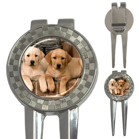 Labrador  Puppy 2 3 Front