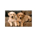 Labrador  Puppy 2 Sticker (Rectangular)