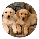 Labrador  Puppy 2 Magnet 5  (Round)
