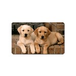 Labrador  Puppy 2 Magnet (Name Card)