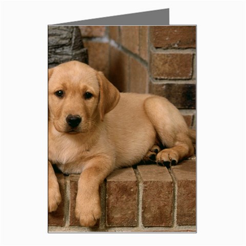 Labrador  Puppy 2 Greeting Card from ArtsNow.com Left