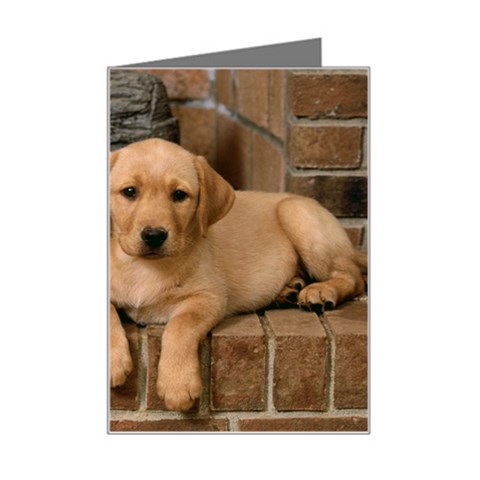 Labrador  Puppy 2 Mini Greeting Card from ArtsNow.com Left