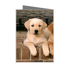 Labrador  Puppy 2 Mini Greeting Card from ArtsNow.com Right