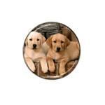 Labrador  Puppy 2 Hat Clip Ball Marker