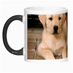 Labrador  Puppy 2 Morph Mug
