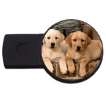Labrador  Puppy 2 USB Flash Drive Round (4 GB)