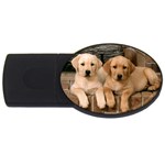 Labrador  Puppy 2 USB Flash Drive Oval (4 GB)