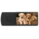 Labrador  Puppy 2 USB Flash Drive Rectangular (4 GB)
