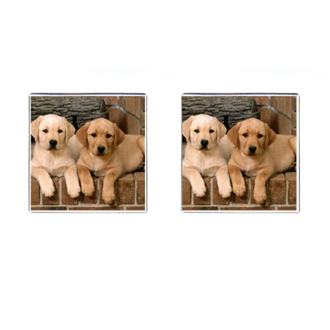 Labrador  Puppy 2 Cufflinks (Square) from ArtsNow.com Front(Pair)