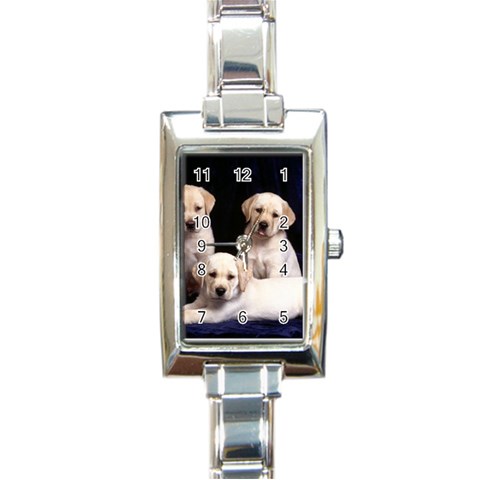 Labrador Front