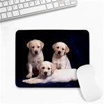 Labrador-Puppy 3 Small Mousepad