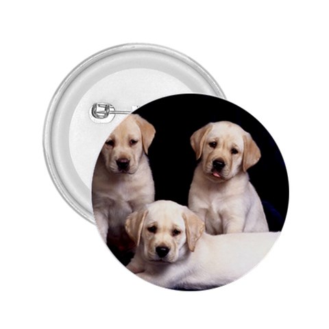 Labrador Front