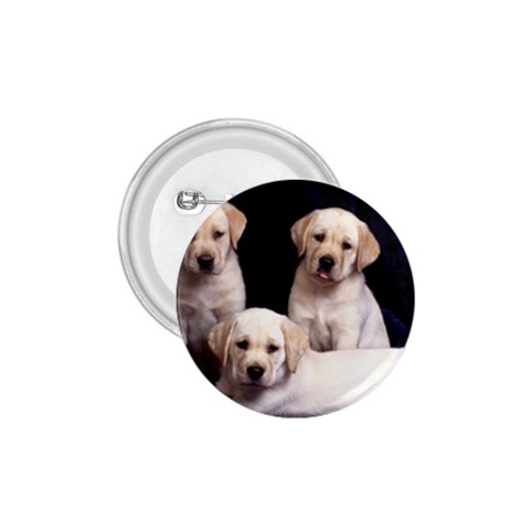 Labrador Front