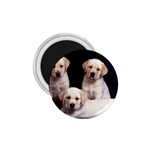 Labrador-Puppy 3 1.75  Magnet