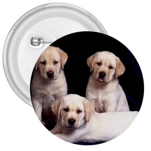 Labrador Front