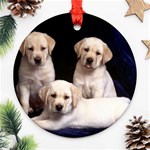 Labrador-Puppy 3 Ornament (Round)