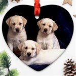 Labrador-Puppy 3 Ornament (Heart)