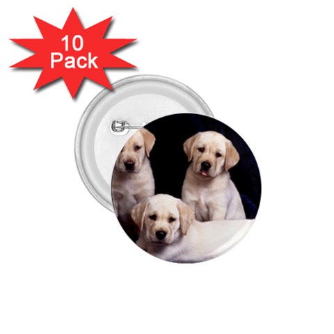 Labrador Front