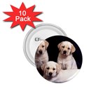 Labrador-Puppy 3 1.75  Button (10 pack) 